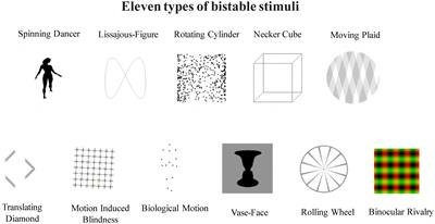 The Independent and Shared Mechanisms of Intrinsic Brain Dynamics: Insights From Bistable Perception